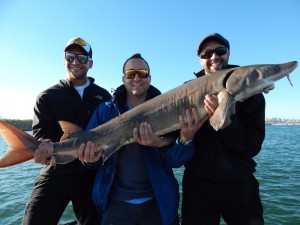 DSCN2552 zpstfxrdu7b